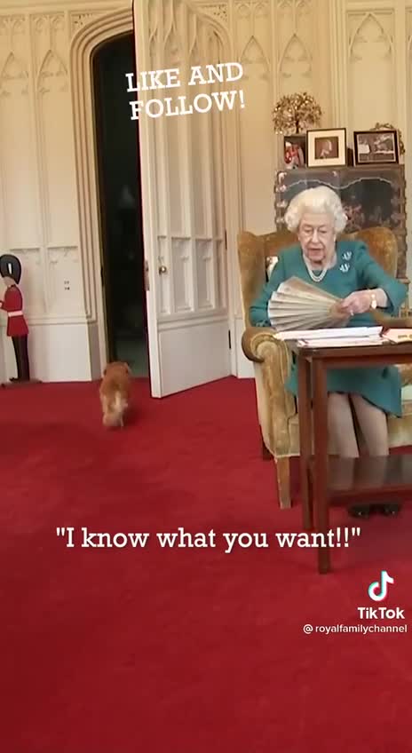 DOGG COMMS "QUEENS BEEN DEAD"