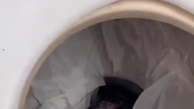 Viewpoint: Airplane bathrooms