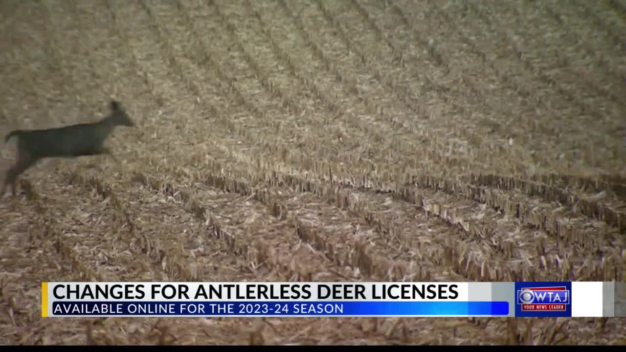 Antlerless deer license sales in Pa. changing for first time in decades