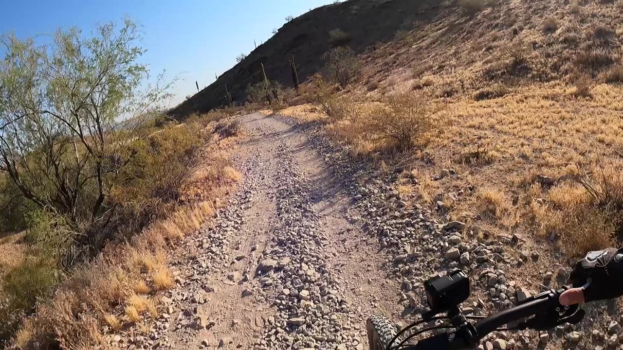 Trying to get back into Mountain Biking