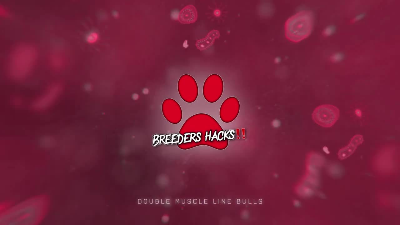 Dog breeding Questions & Answers (Episode #2) - Breeders Hacks