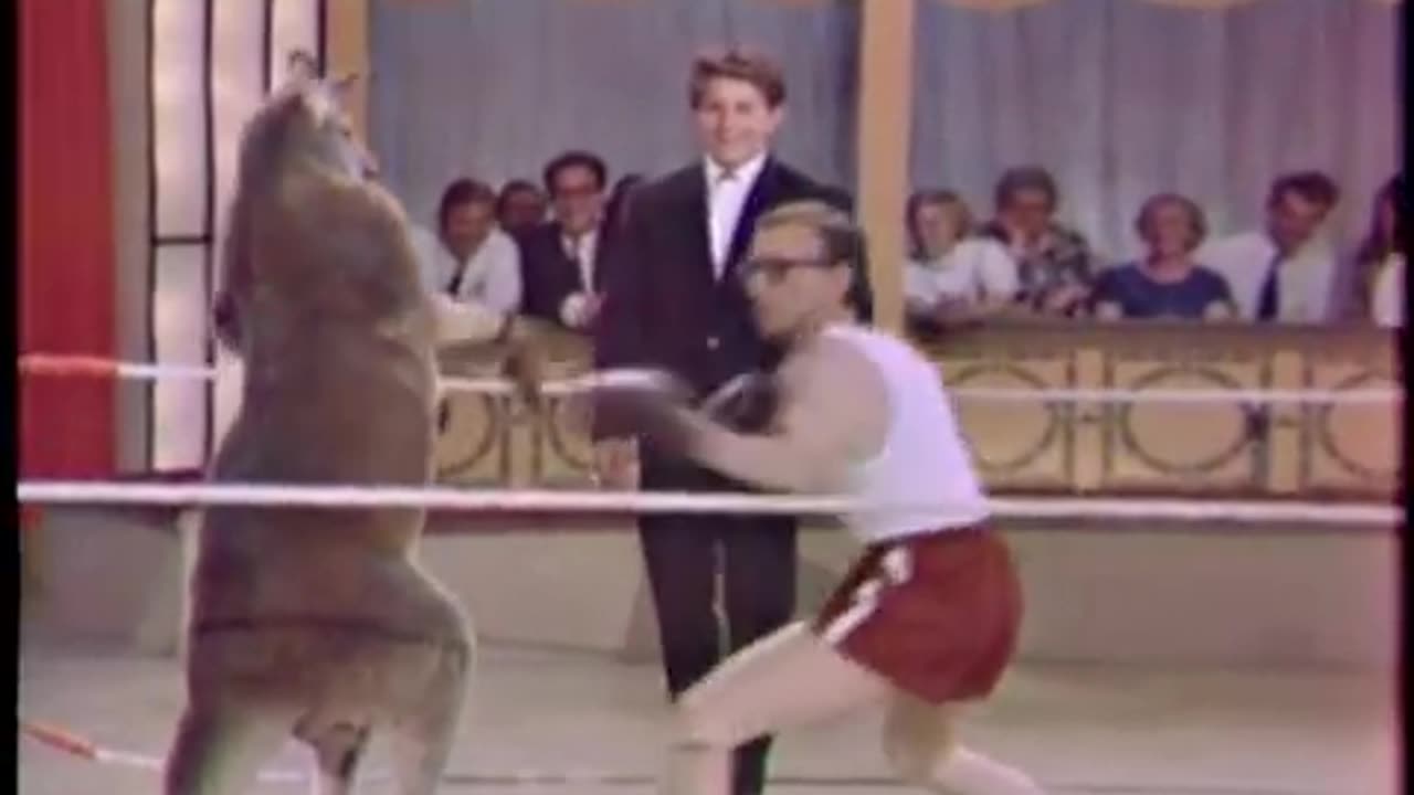 Circus Boxing Kangaroo