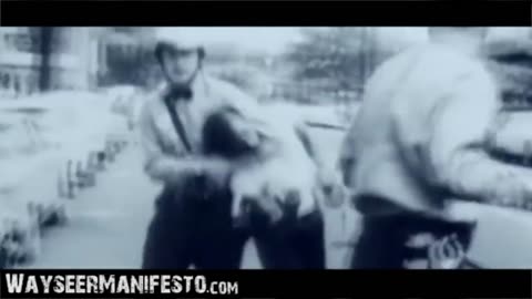 The REVOLUTION Has Begun