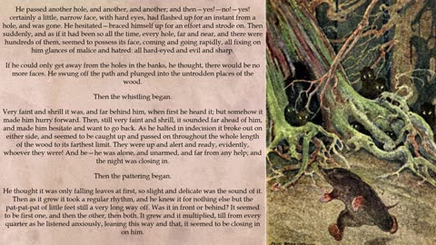Audio Book | The Wind in The Willows Chapter 3