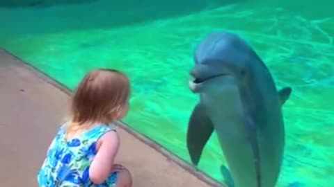 This little girl formed an adorable connection with a friendly dolphin 😮 🥰