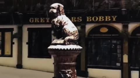 This statue is well known in Edinburgh. It tells the story of a loyal dog called Popp