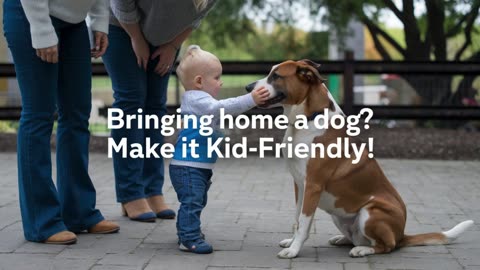 Podcast: "Paws and Play: Tips for Introducing a New Dog to a Home with Kids"