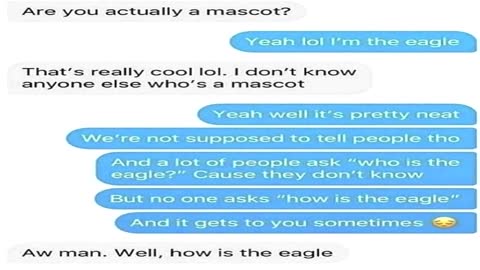 Are you actually a mascot