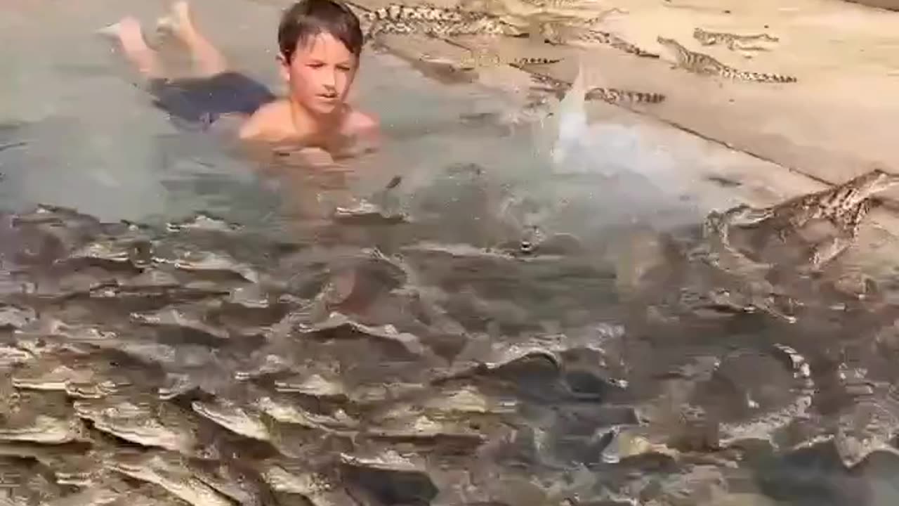 See this so dangerous