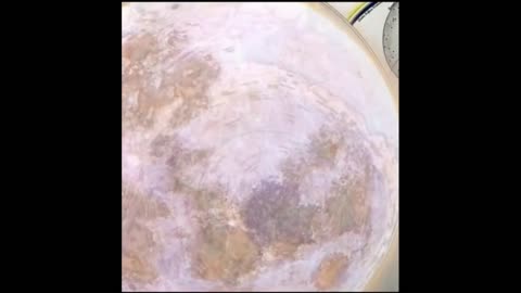 Earth and Moon