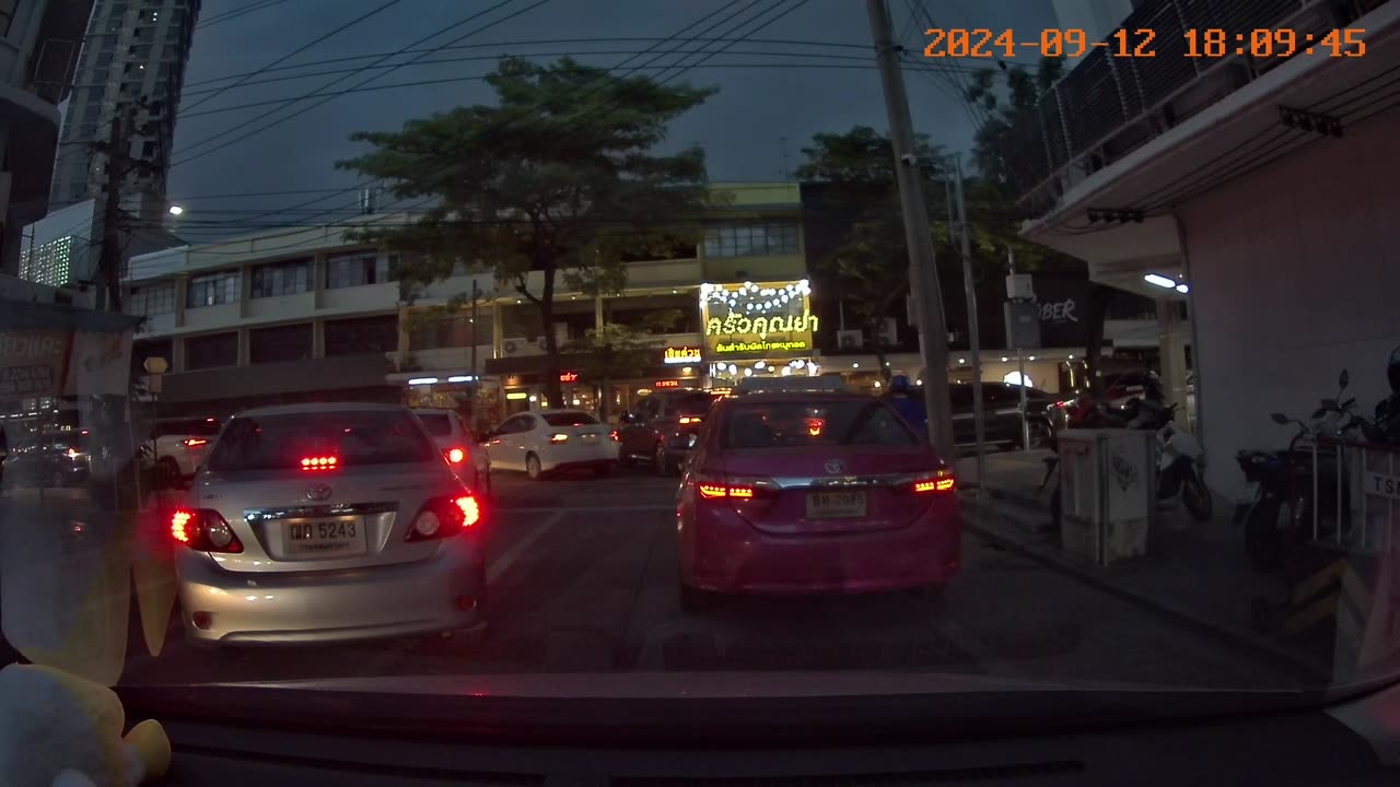 Wind Drops Tree on Busy Street