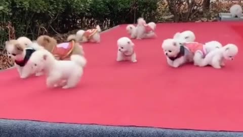 A big party