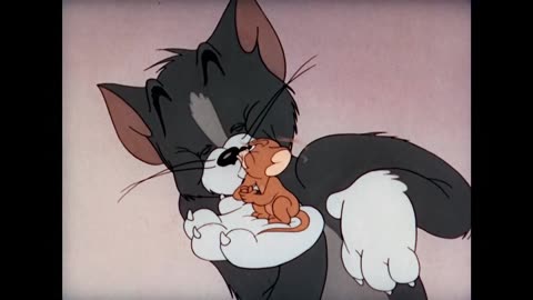 Tom and Jerry Cartoon