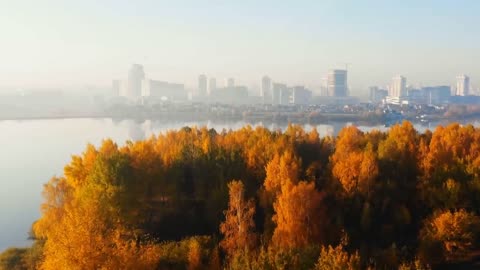 Enchanting Autumn Forests with Beautiful Piano Music