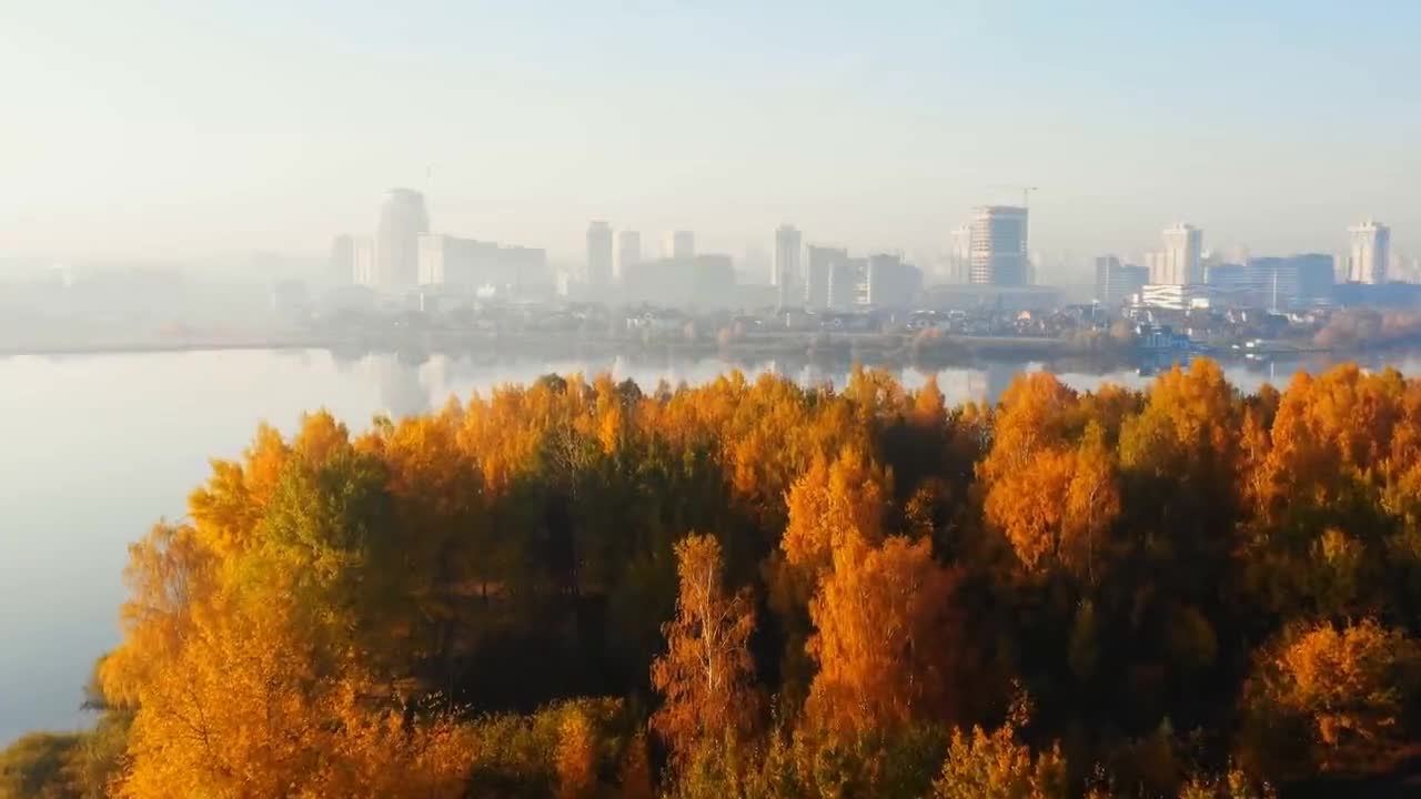 Enchanting Autumn Forests with Beautiful Piano Music