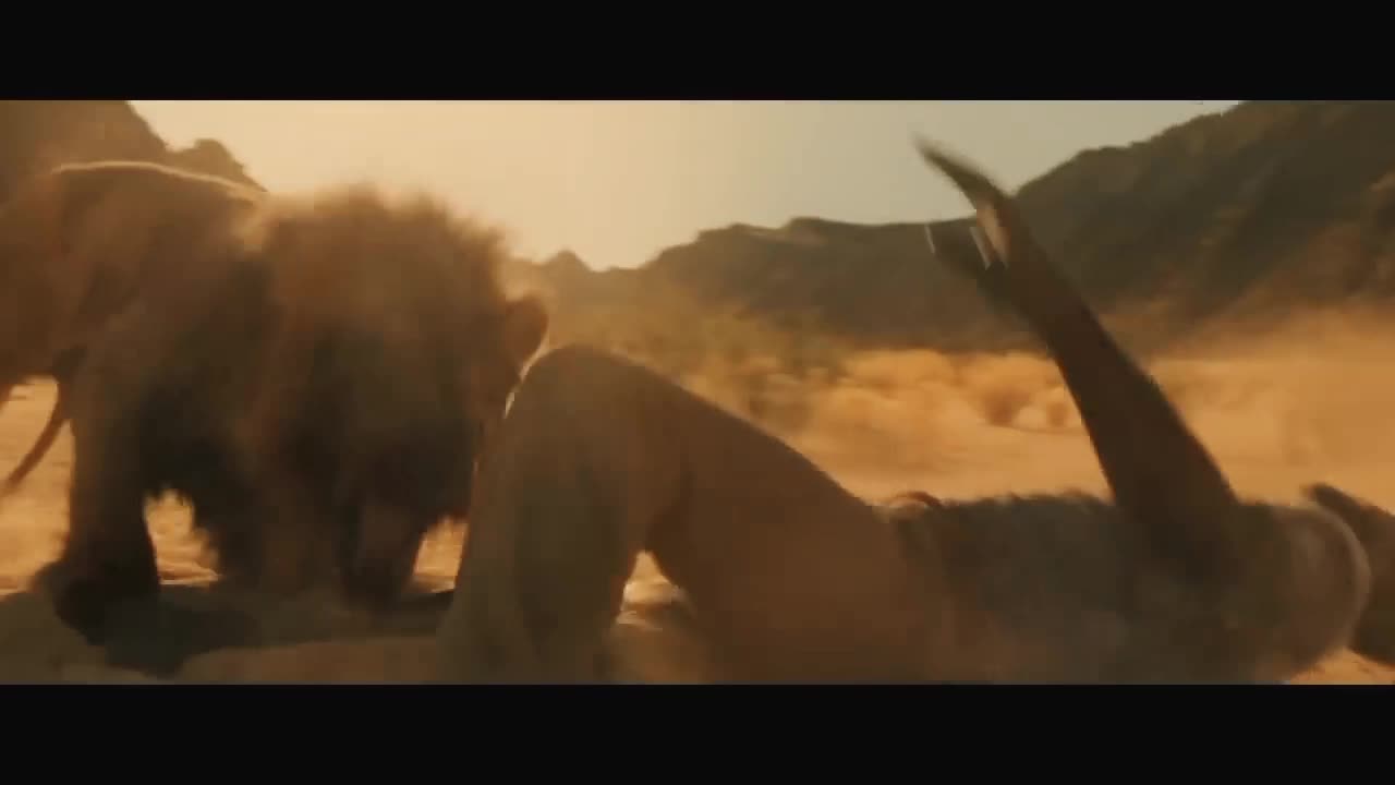 Brutal Lion Fight Scene. -: