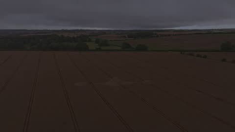 Crop Circle - Preston Grange, Preston Candover, Hampshire, England - 2 August 2023