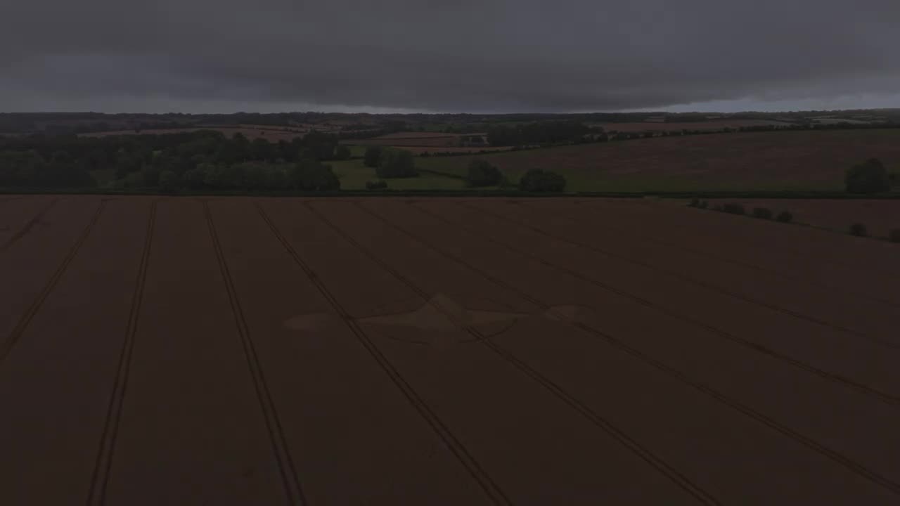 Crop Circle - Preston Grange, Preston Candover, Hampshire, England - 2 August 2023