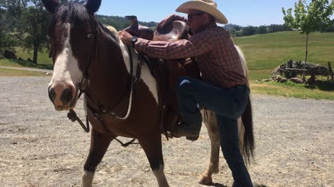 5 "Horsemanship Hacks "