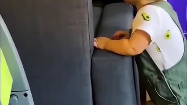 Fuuny animal video