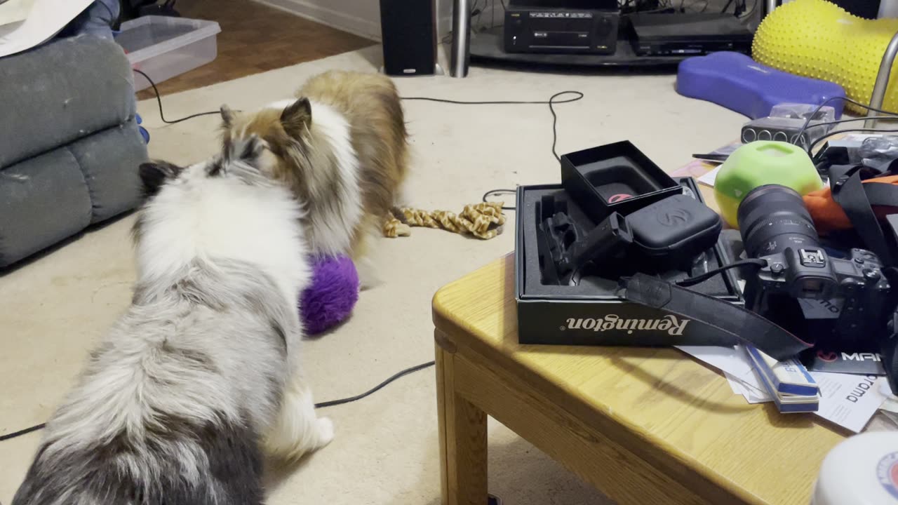 Fur balz tug
