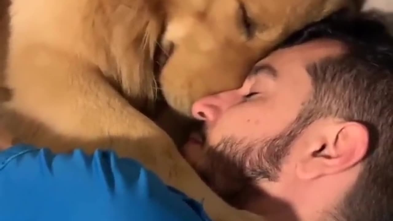 Man And His Best Friend Dog Sweet Moment