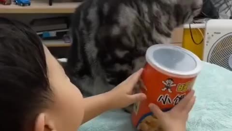 🐱👶Cat helping the baby for stealing food🥰