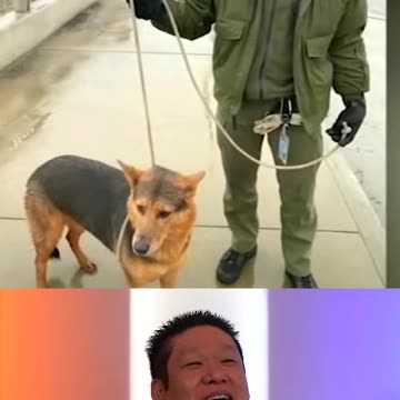 Helicopter Crew Saves Guy Trying To Save His Dog