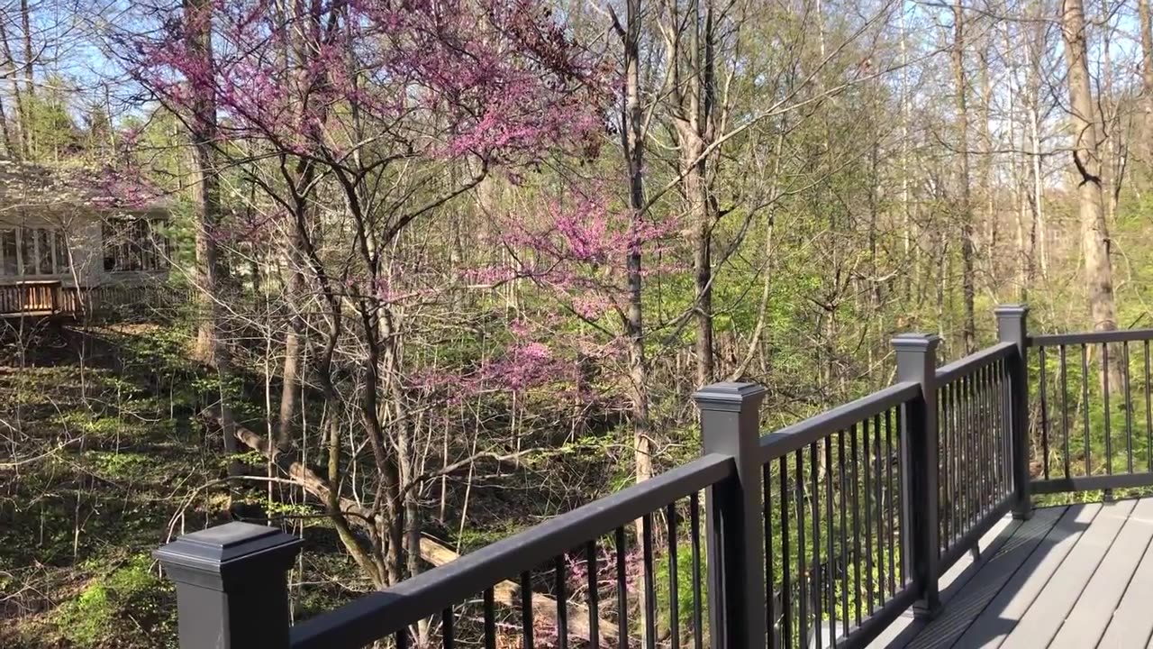 April 26, 2021 - The Monday Morning View from My "Office"