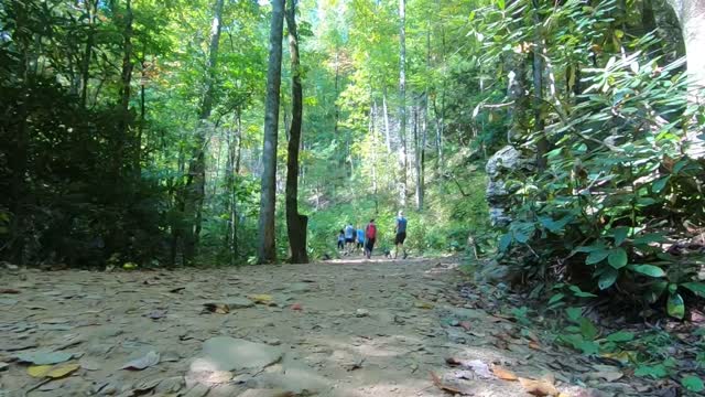 Hiking the Catawba Falls Trailhead