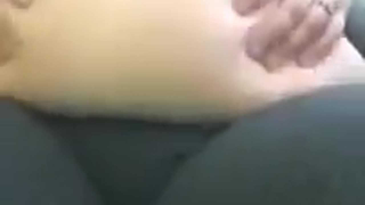 Ssbbw