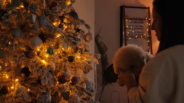 Woman With Her Pet Decorates a Christmas Tree