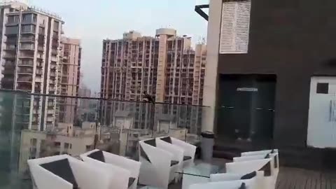 20181129_V3_S01(qfHmus5FSCE)출장중 이른 아침 인도 뭄바이 현지에서 부르는 '구국투쟁가(훌라송)'