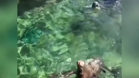 ‘’Human beings who do not do good deeds‘’(2)