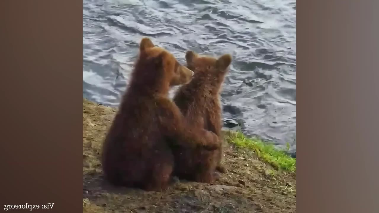 The two puppies are sitting like they are best friends