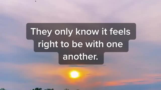Soulmate facts #itismyview #soulmate