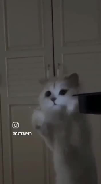 This light tastes delicious 🤣