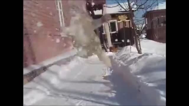 cat tries to catch snowball in the air!