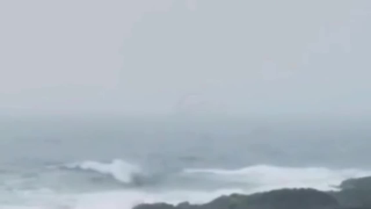 Sea Mythical Creature