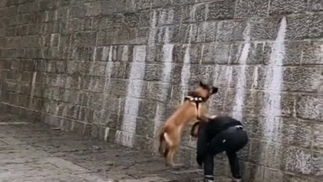OMG!!He can fly!!