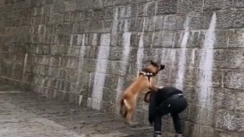 OMG!!He can fly!!