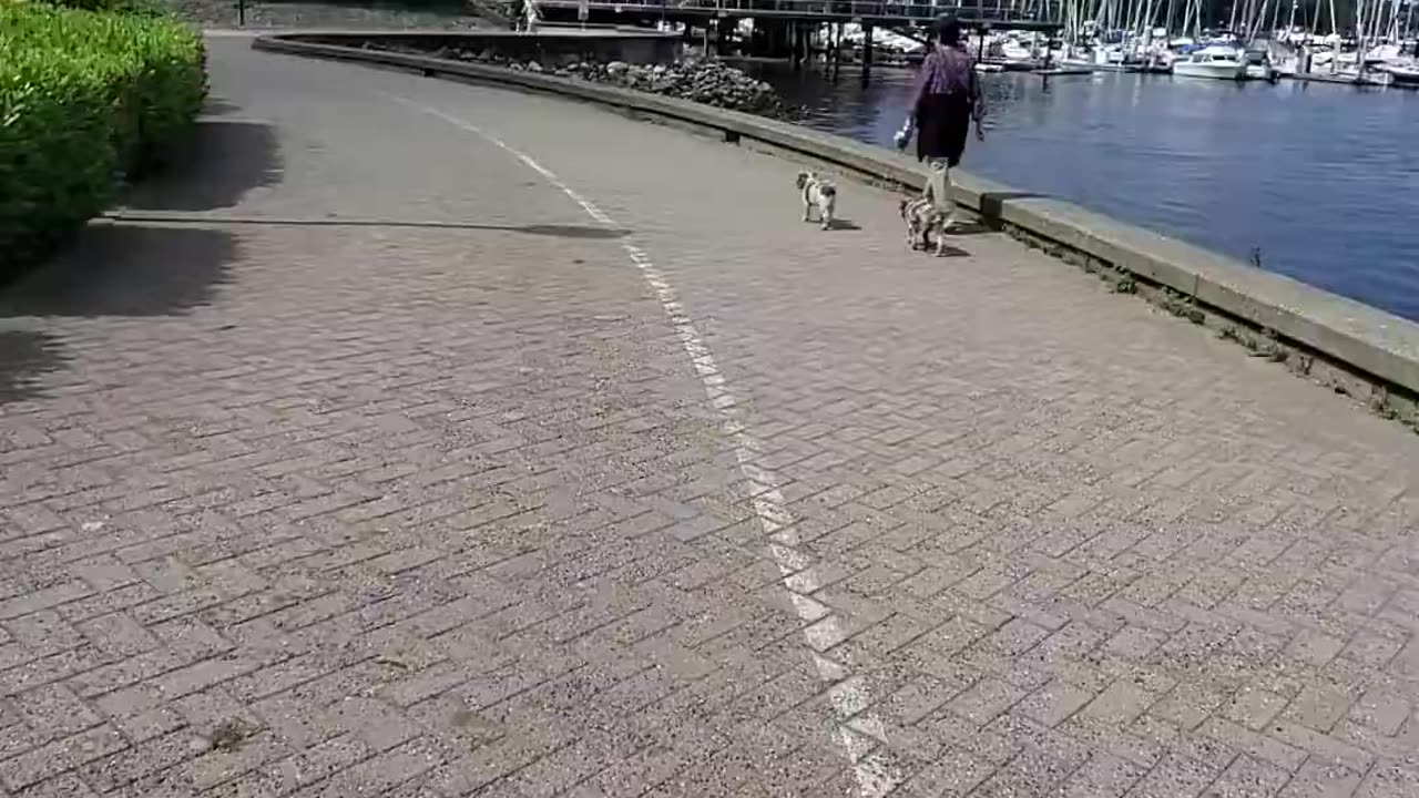 Vancouver Seawall Cycling.