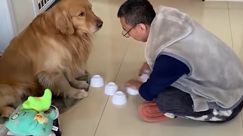 Intelligent dog🐶