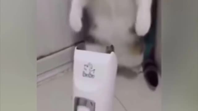 改忍让还是要忍让的啊