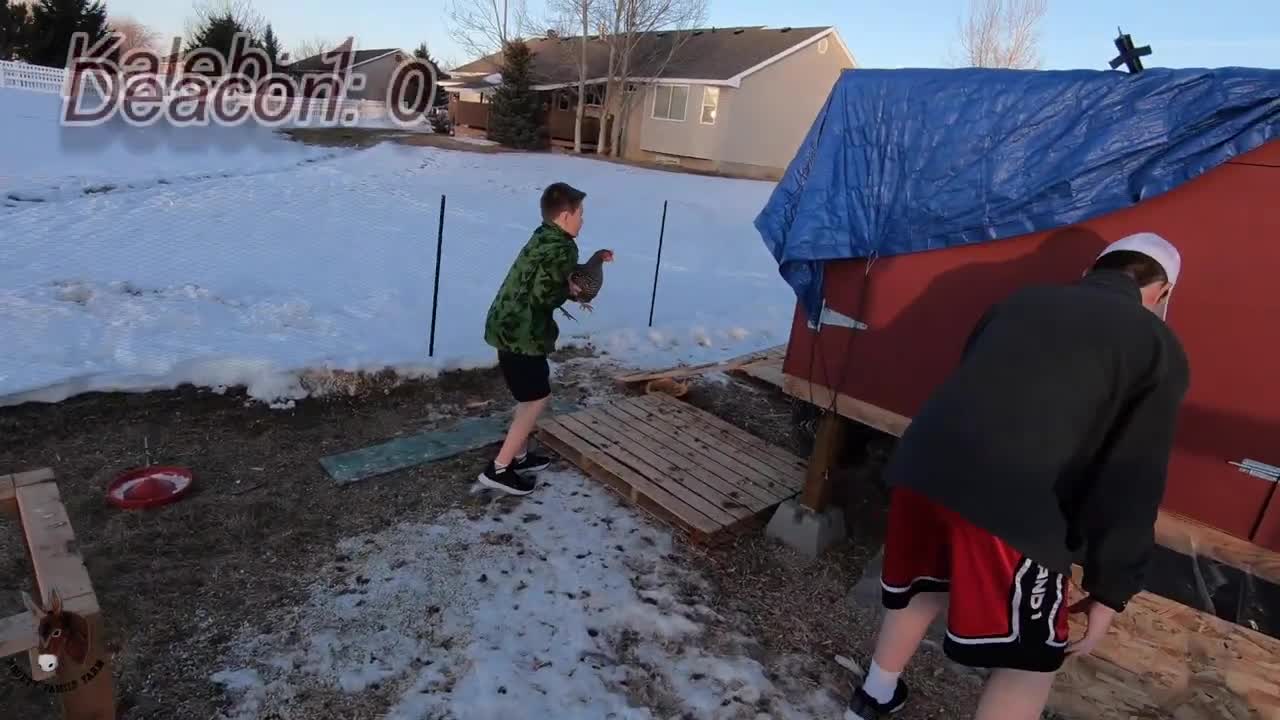 $5 Chicken Challenge: Kaleb Versus Deacon