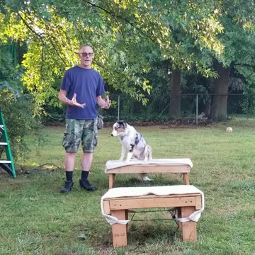 Back to the Basics: Stop , Back, Figure Six cut 10