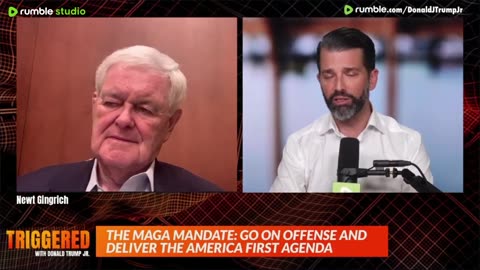 The Maga Cultural Shift, Plus Ufc At Msg & Interview With Newt Gingrich - Triggered - 11/19/24.