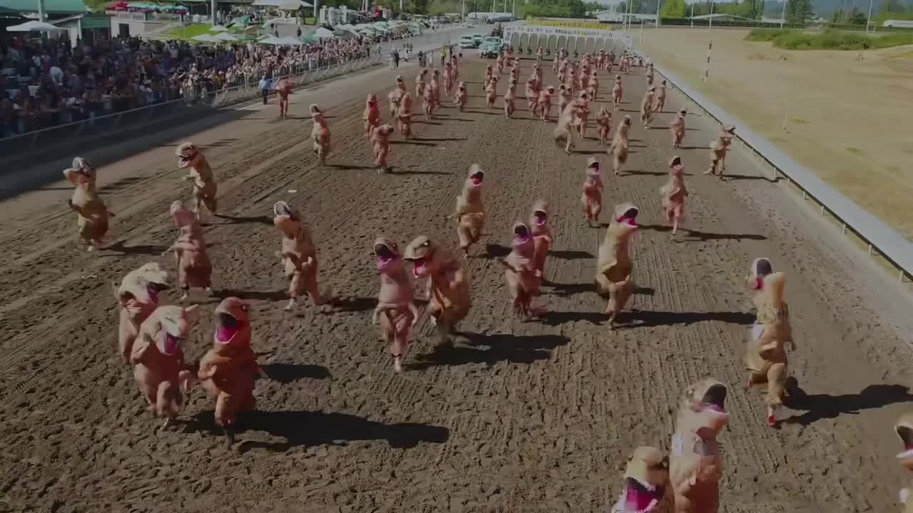T-Rex Derby at Emerald Downs