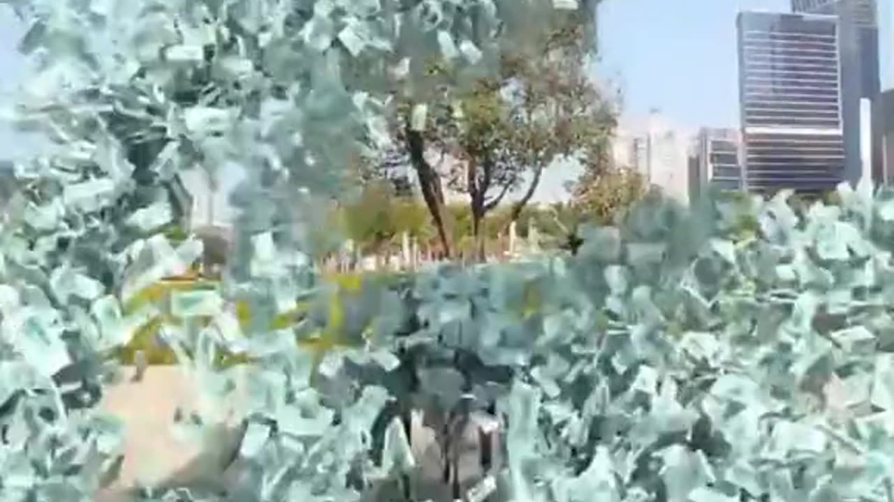 DL Panda Viral videos ON Internet
