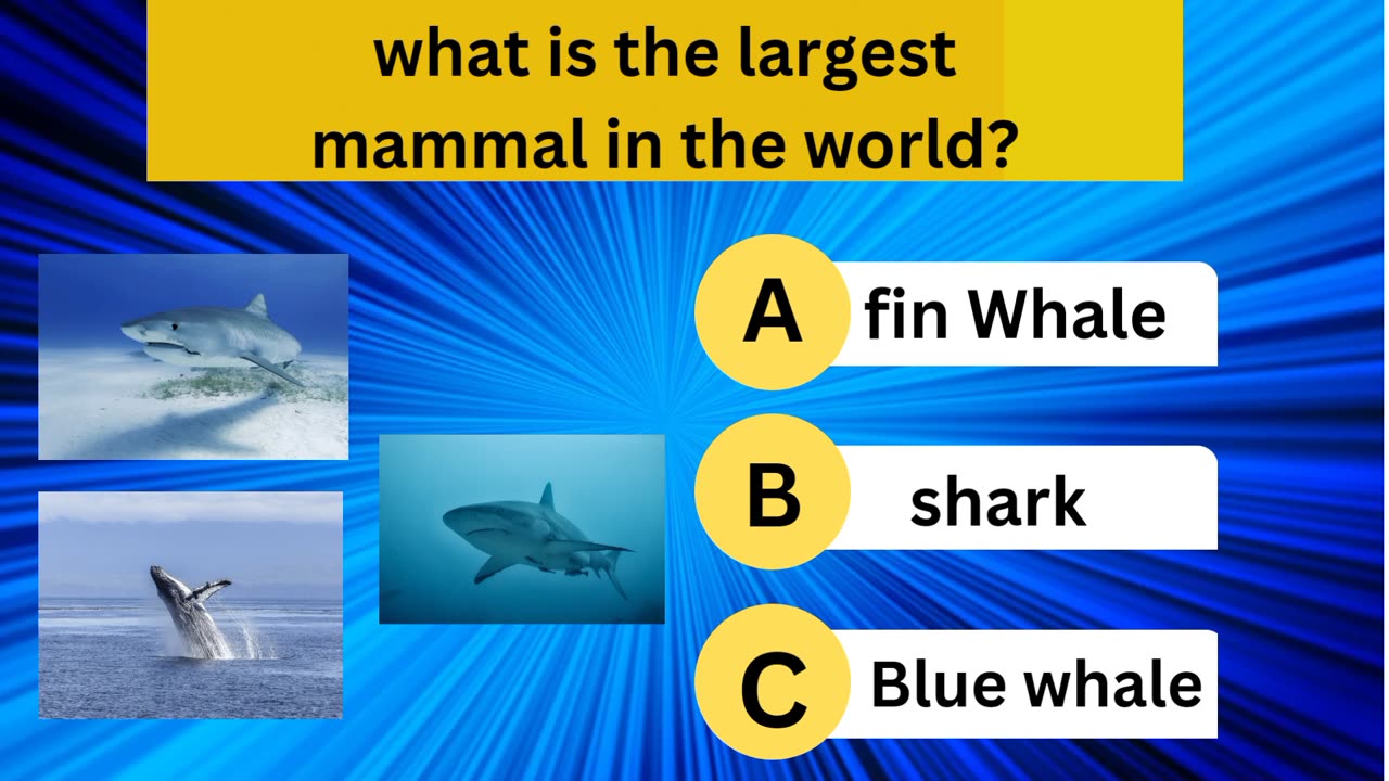Let's find out what is the largest mammal?